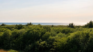 A coastal landscape with dense greenery and a view of the sea.