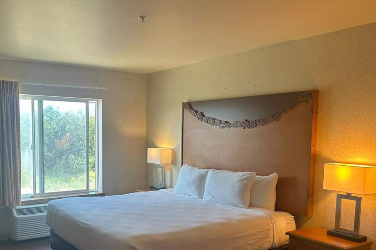 Blackout drapes, iron/ironing board, free WiFi, bed sheets