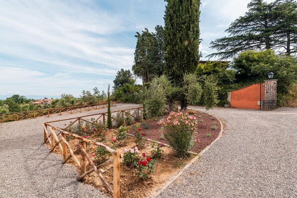 A garden with a gravel path, wooden fence, and various plants and flowers.