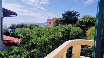 Villa | Property grounds