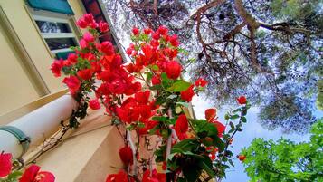 Villa | Property grounds