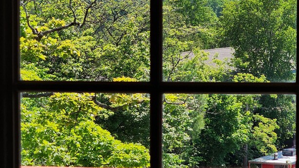 Une fenêtre donnant sur un paysage montagneux et une végétation luxuriante.