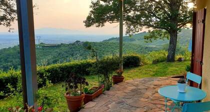 Vacation house with swimming pool and panoramic terrace, surrounded by olive trees.