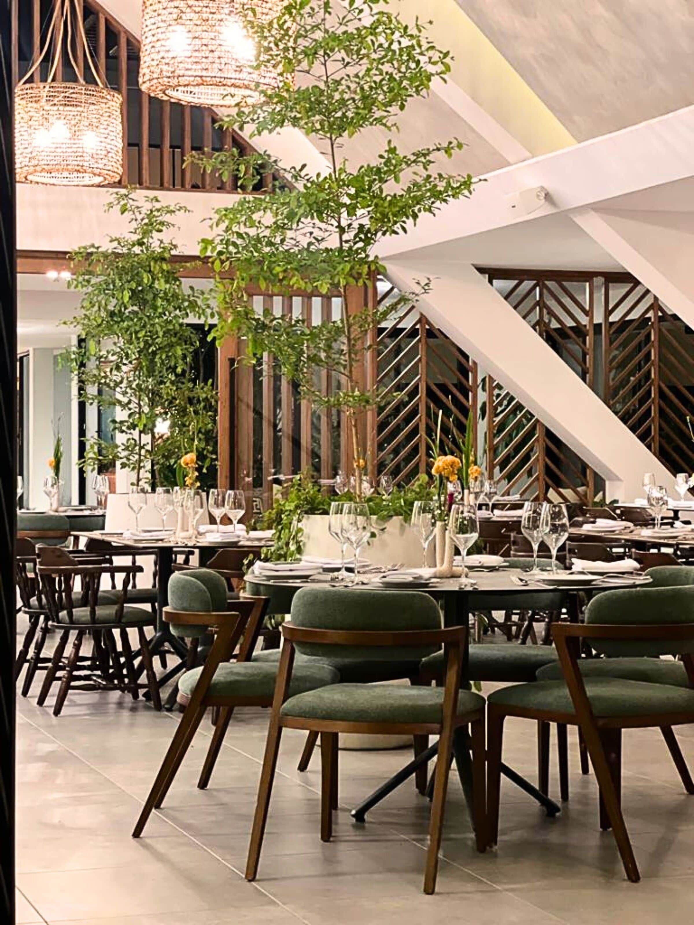 A restaurant with round tables, green upholstered chairs, and a large tree in the center.