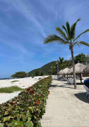 A beachside area with a pathway lined by a hedge, palm trees, and thatched umbrellas.