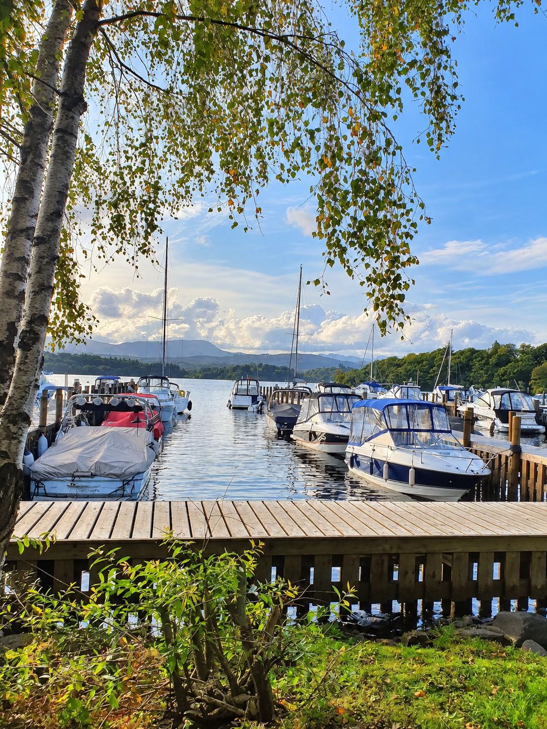 A marina with boats docked, surrounded by trees and a clear sky.