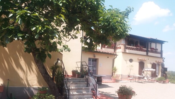 A building with a staircase leading to a door, surrounded by potted plants and a tree. - Torre Prima 1 (San Gimignano)