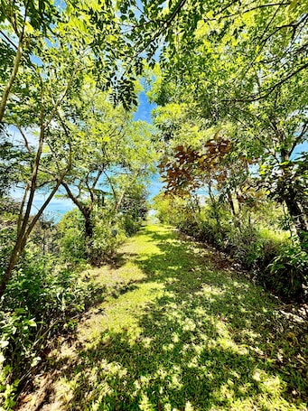 Comfort Cabin, Balcony, Mountain View | Terrace/patio