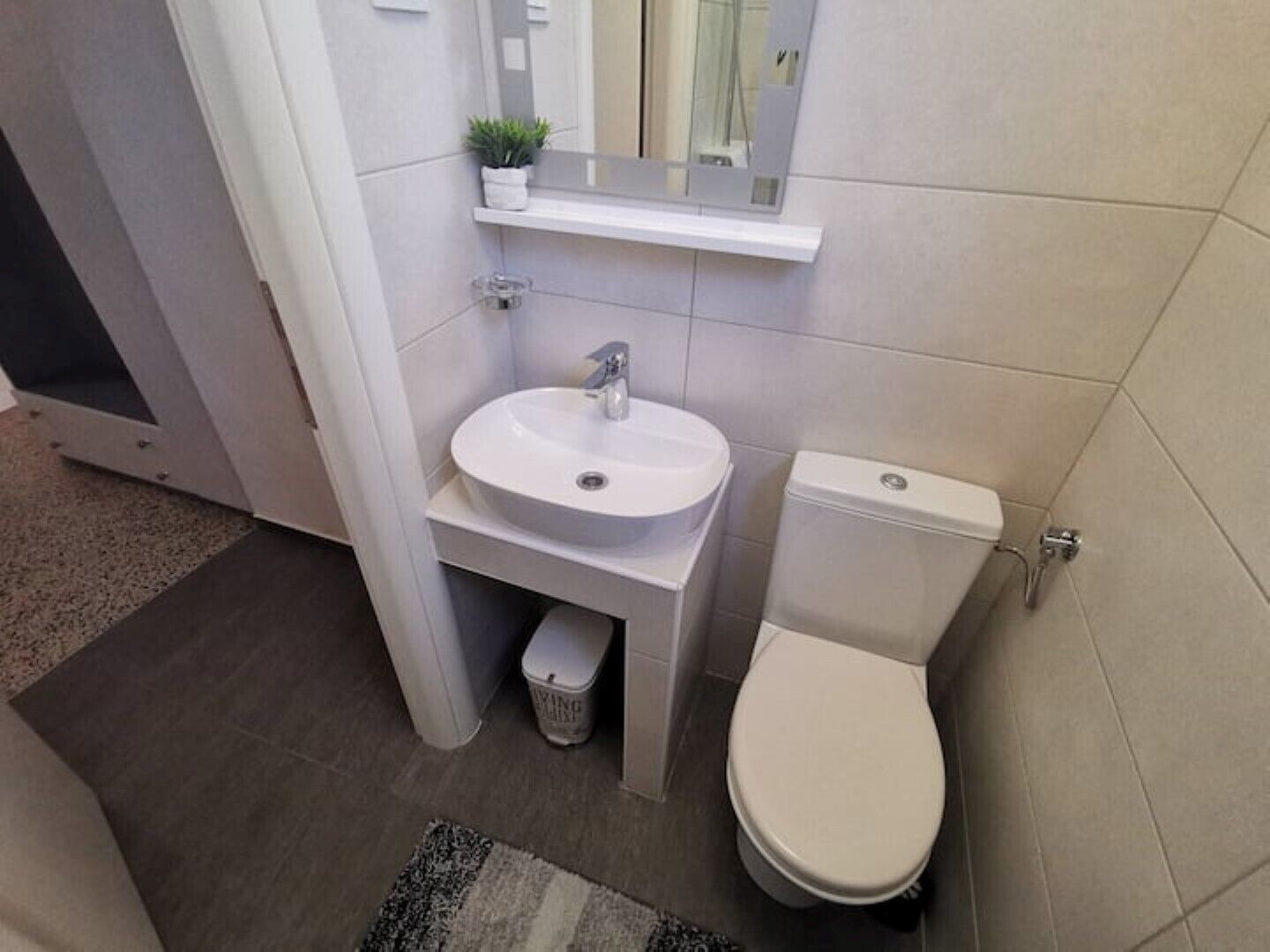 Een compacte badkamer met een witte wastafel, een toilet en een klein plankje met een plant.