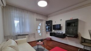 Un soggiorno moderno con un divano, un tappeto rosso, una TV e un mobile.