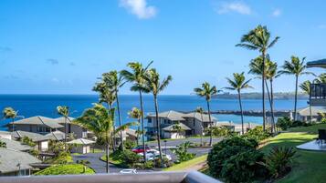 Condo (1 Bedroom) | View from room