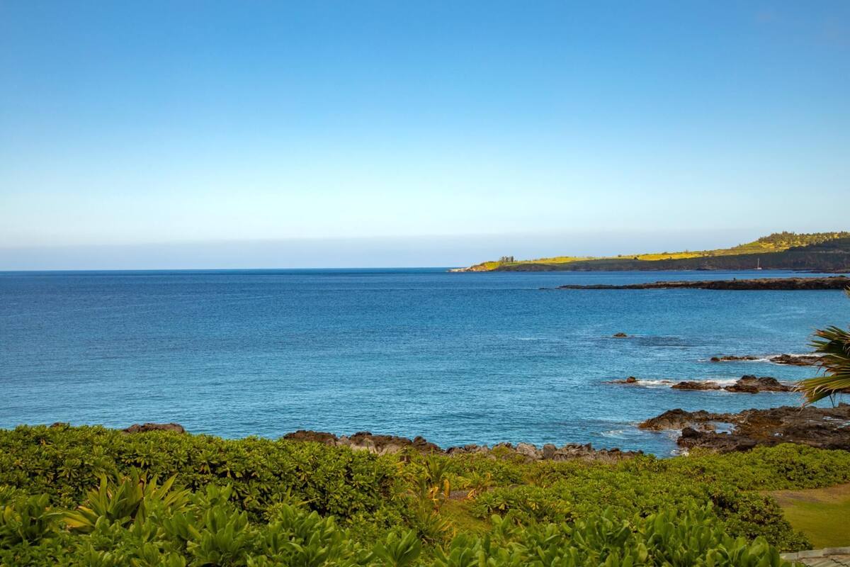 Condo (1 Bedroom) | Front of property