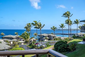 Condo (1 Bedroom) | View from room