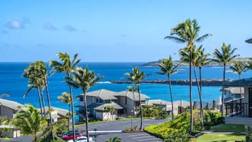 Condo (1 Bedroom) | View from room