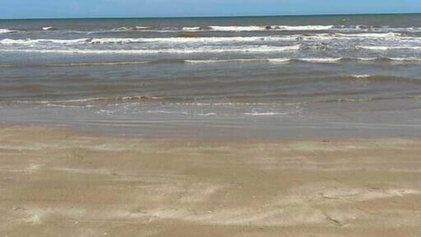 Una playa con cielo despejado y olas acercándose a la orilla.