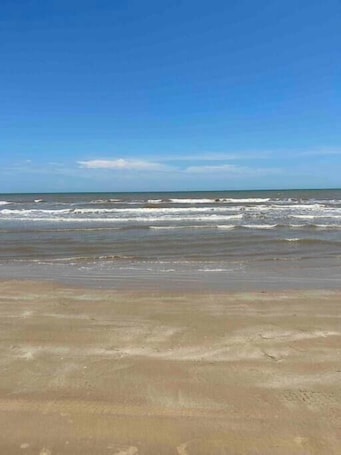 Beach. Sargent TX Seagull Seaclusion