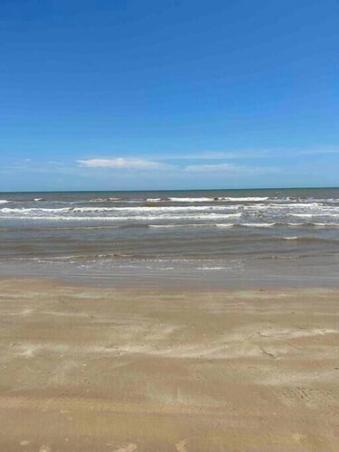 Sargent TX Seagull Seaclusion