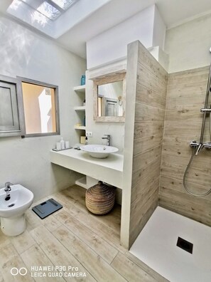 Shower, hair dryer, bidet, towels
