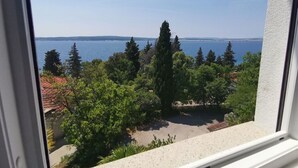 Blick aus einem Fenster auf eine Küstenlandschaft mit Bäumen und blauem Himmel.
