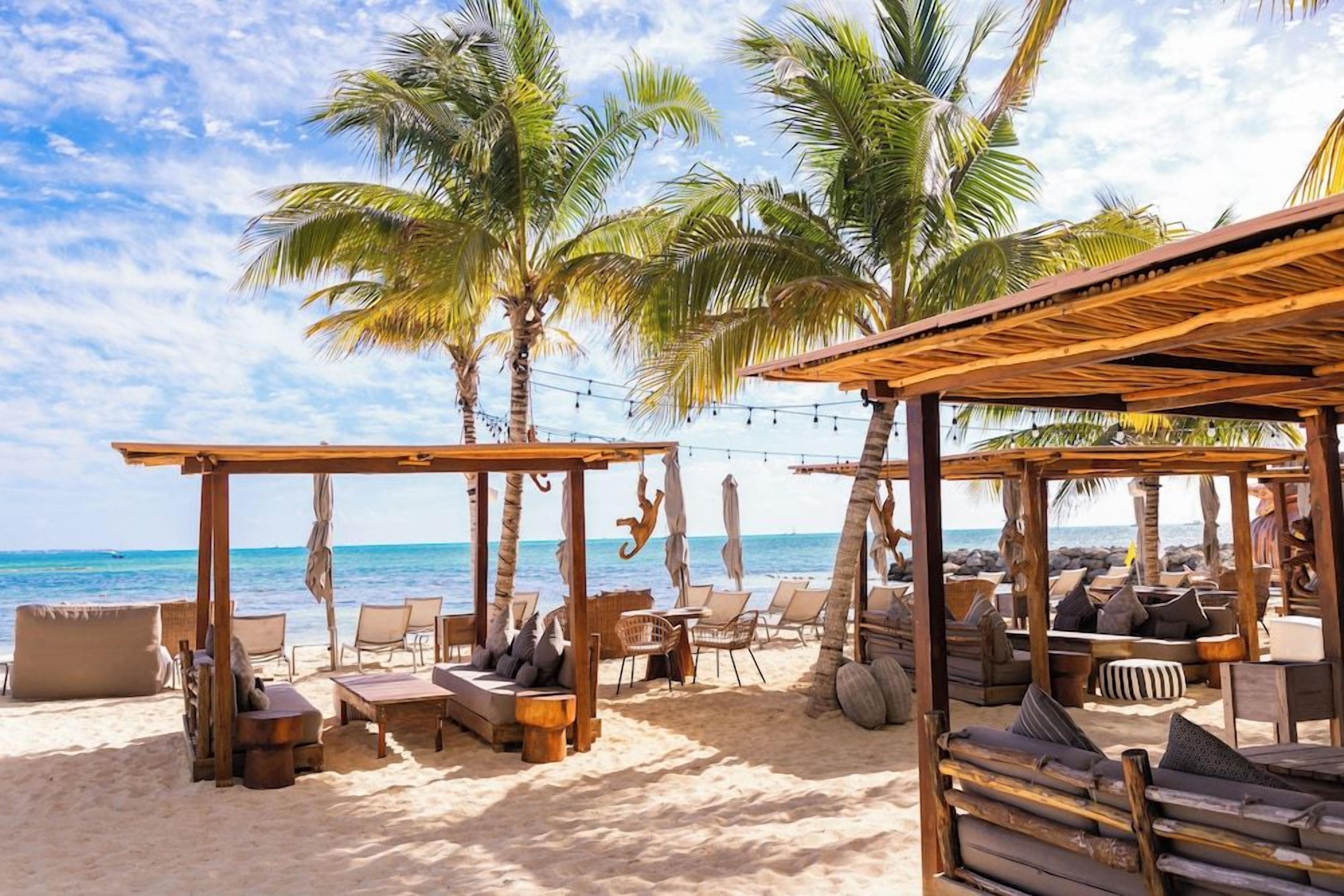 Een strandlounge met houten meubels, palmbomen en uitzicht op de oceaan.