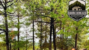Unclassified image, 2 of 12, button - Cabañas Sierra Alta Family Camp (Bocoyna)