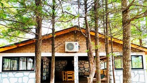 Exterior - Cabañas Sierra Alta Family Camp (Bocoyna)