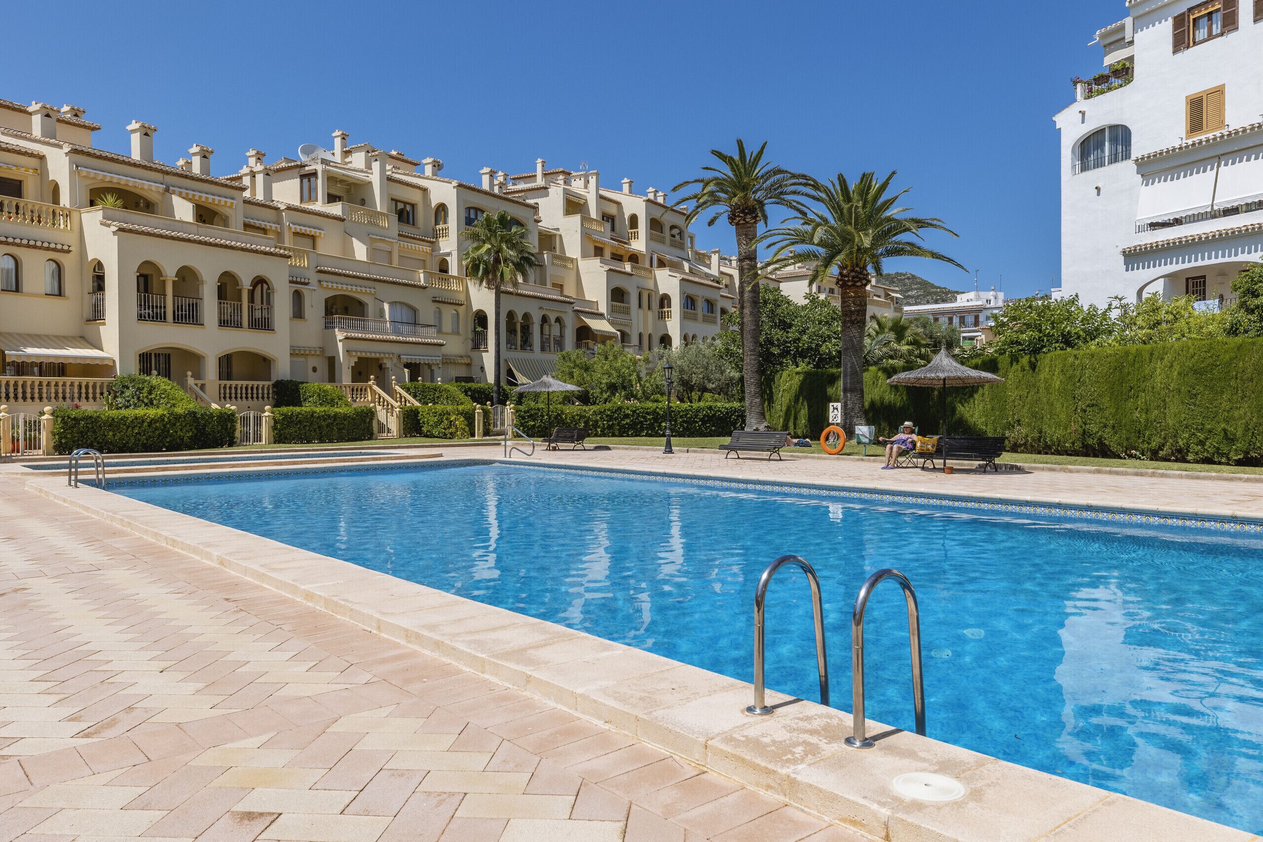 A swimming pool with a tiled deck, surrounded by a lush green hedge and palm trees.