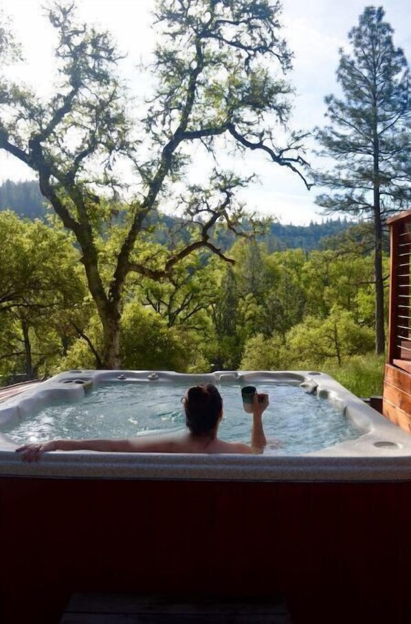 Outdoor spa tub - Stunning Roundhouse, Waterfall, Hot Tub & Views (Grass Valley)