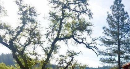 Stunning Roundhouse, Waterfall, Hot Tub & Views