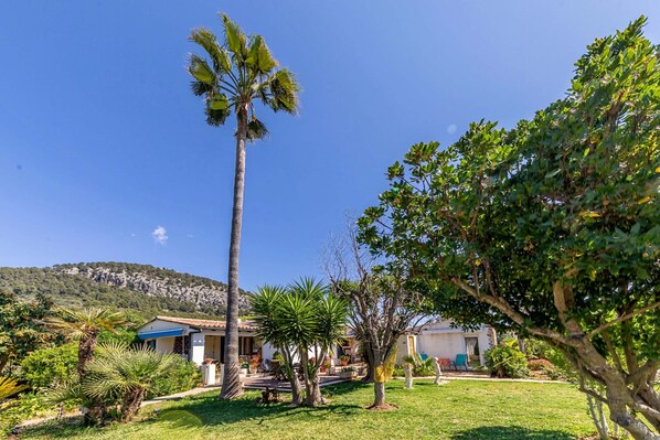 A villa with a patio, palm trees, and a mountain backdrop.