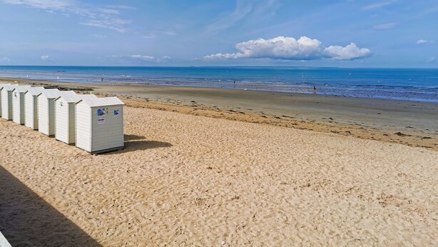 Ein Strand mit mehreren mobilen Toiletten, die in einer Reihe im Sand aufgestellt sind.