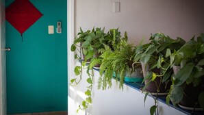 A teal door with a red decorative item, a white switch, and several potted plants on a white wall.