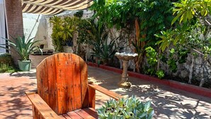 A wooden chair and a potted plant in a sunny outdoor area with a stone wall and various plants.