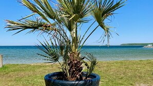 A potted palm plant with a clear view of a body of water and a distant shoreline in the background. - Cozy vacation home with sauna, fireplace, garden and boat (pet-friendly) (Röbel/Müritz)