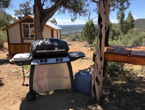 Property grounds - Cabin at Navajo Dam (Navajo Dam)