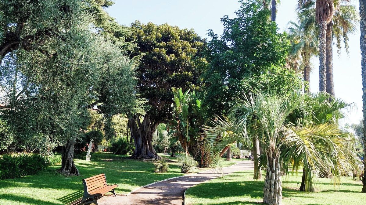 Een pad in een park met een bankje, omringd door verschillende bomen en groen.