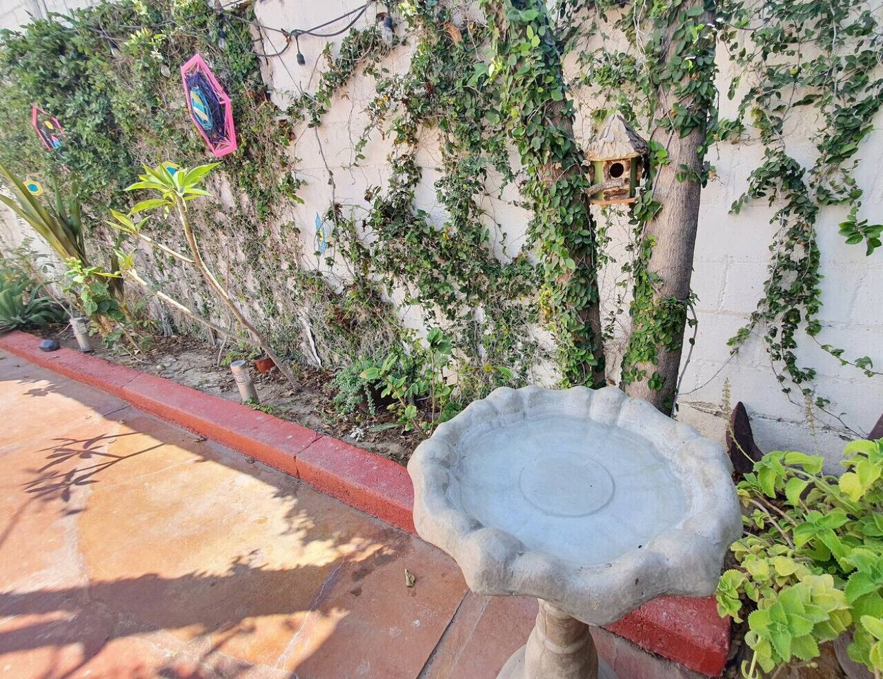 Un abrevadero de piedra en un jardín, con un borde rojo, rodeado de follaje y una pared blanca.