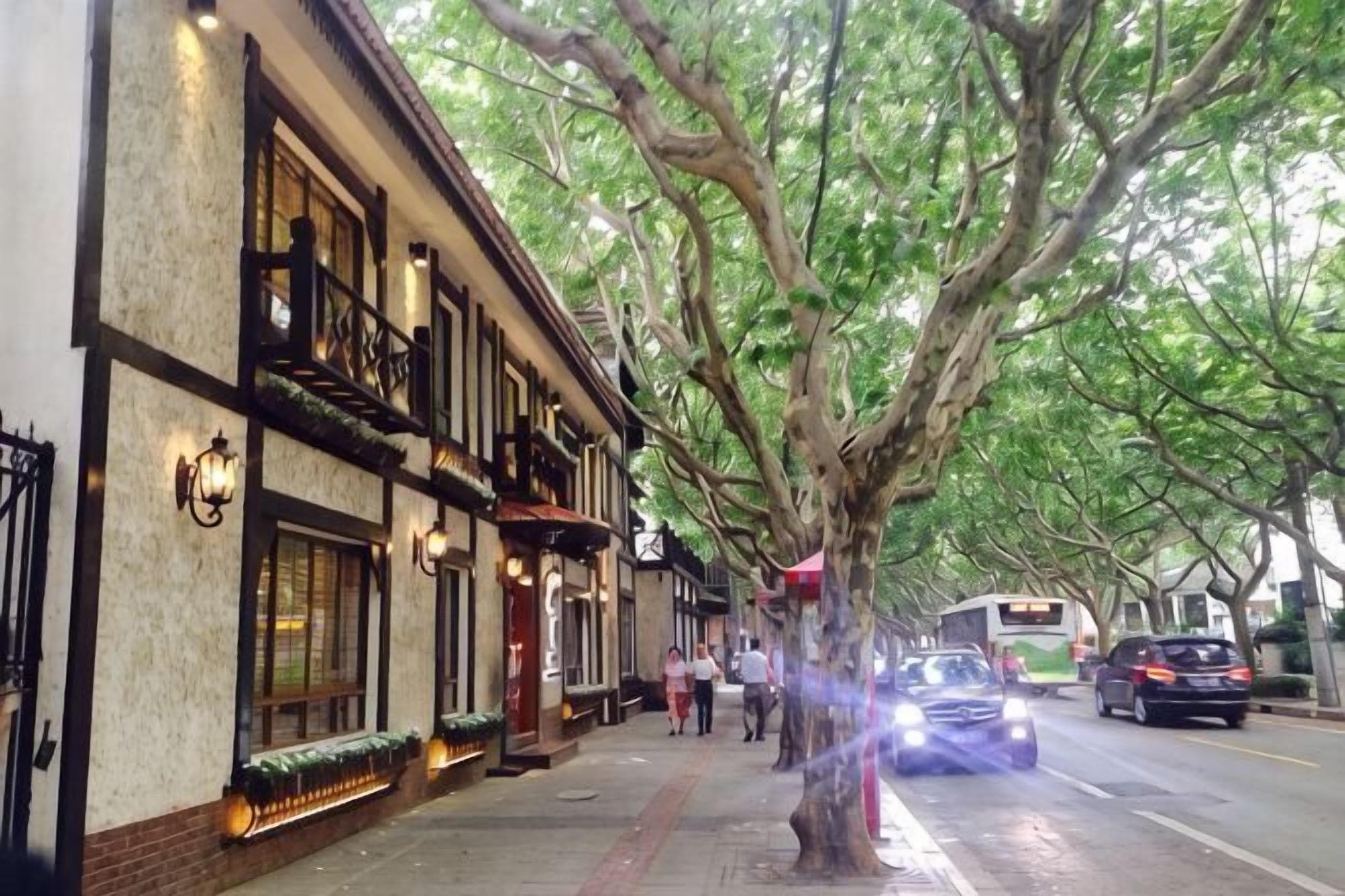 Ruas arborizadas com edifícios, um ônibus e carros.