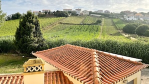 A residential area with terraced fields and houses in the background. - R. Principal 25 (Torres Vedras)