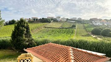 Standard Room | 1 bedroom, free WiFi, bed sheets