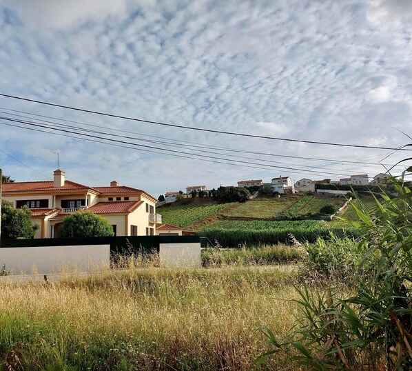 Front of property - R. Principal 25 (Torres Vedras)