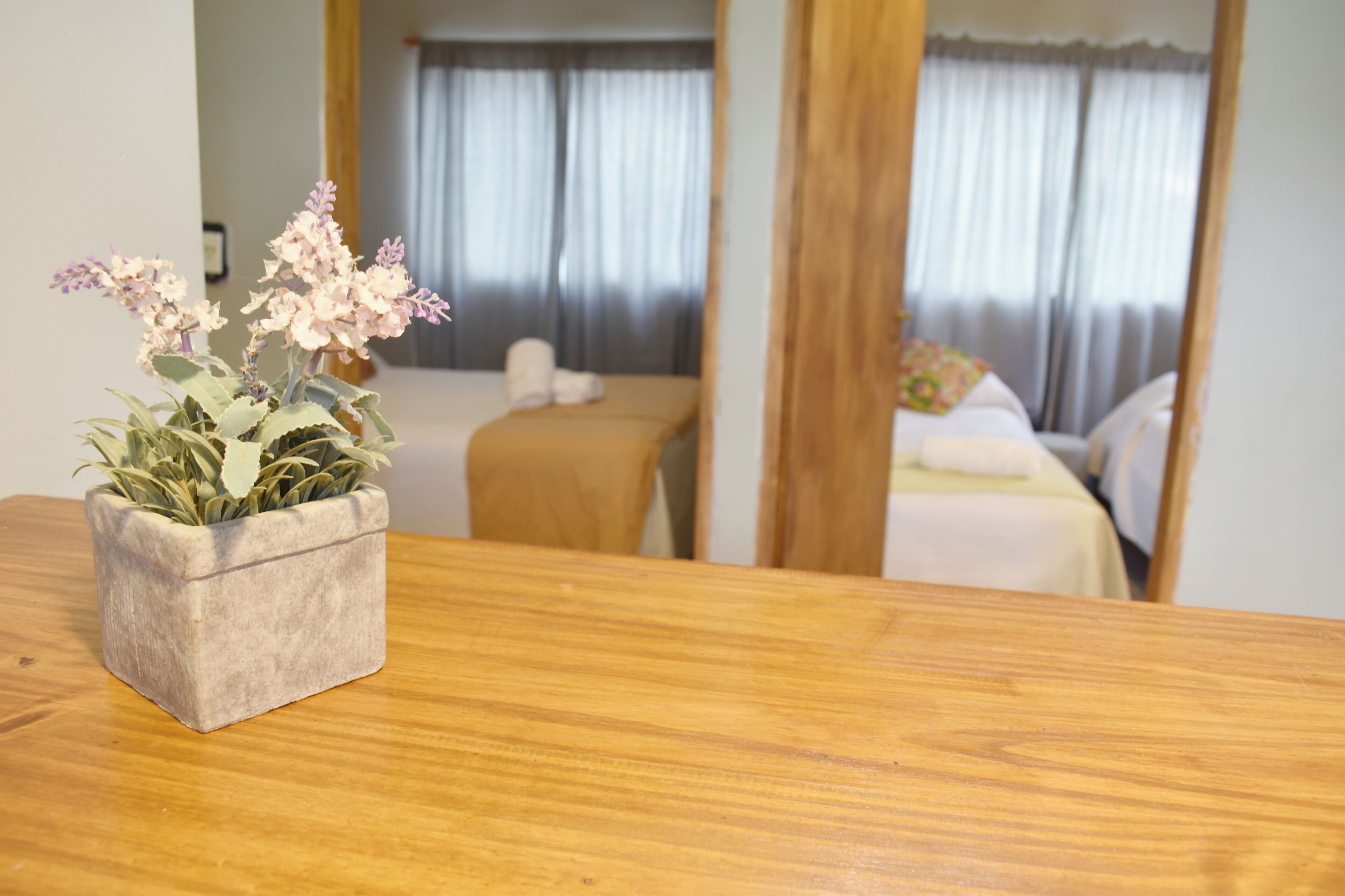 Vista desde la habitación