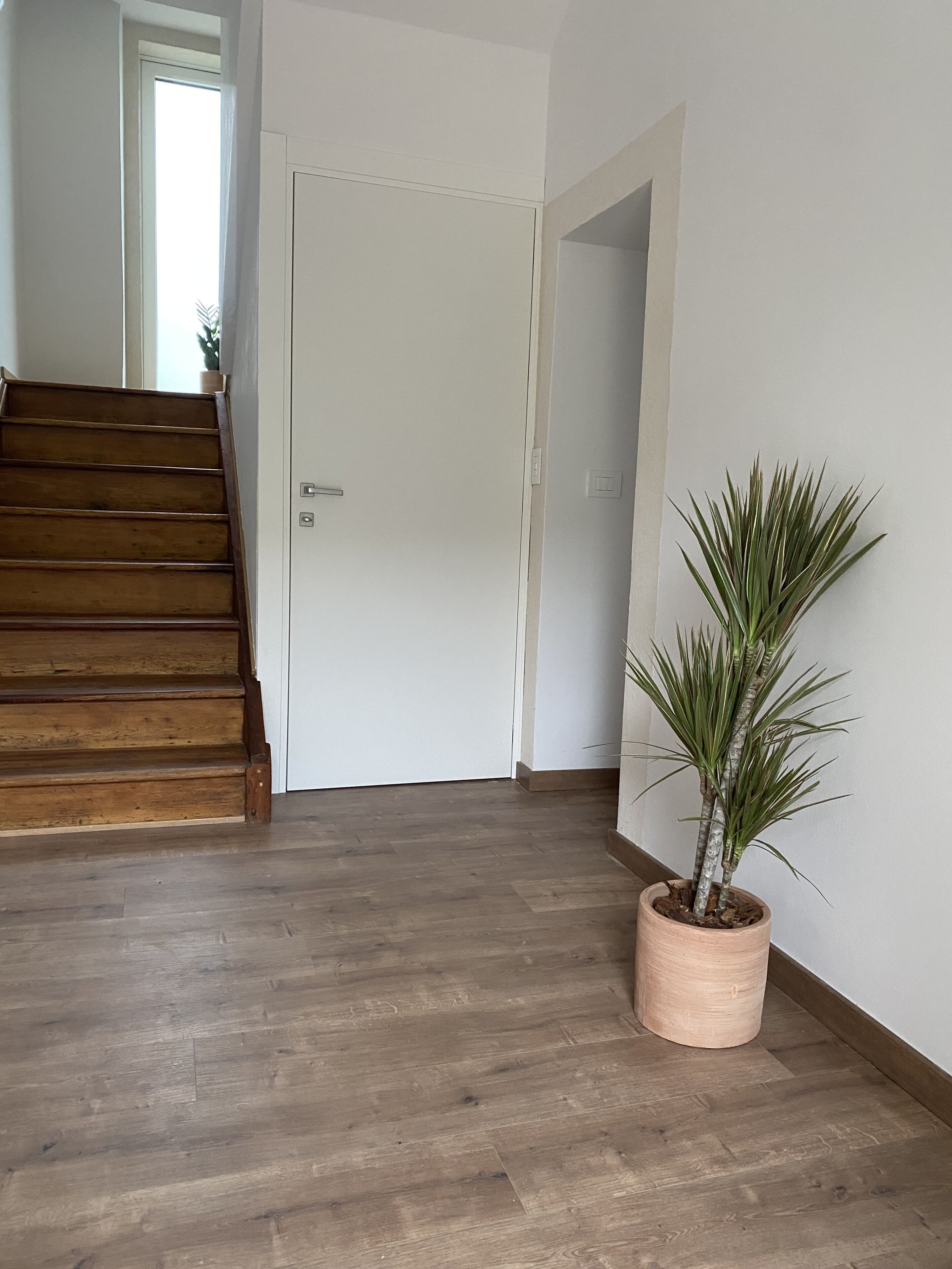 A hallway with wooden flooring, a staircase, a white door, and a potted plant.