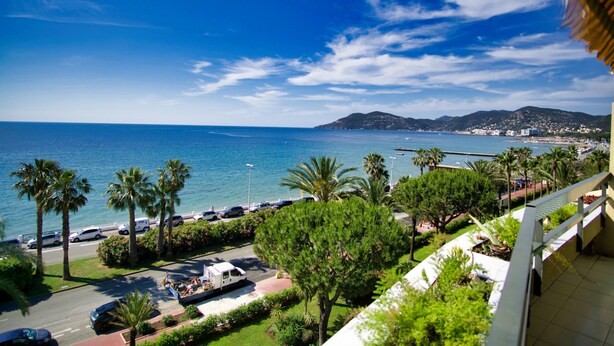 Property grounds - Palmes d'Or Properties Ref EGEE (Cannes-la-Bocca)
