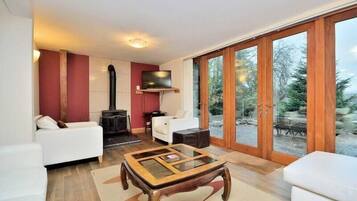 Smart TV, fireplace, books