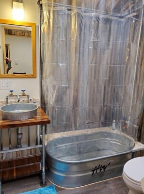 Bathroom features a single sink, toilet, and large shower enclosure.
