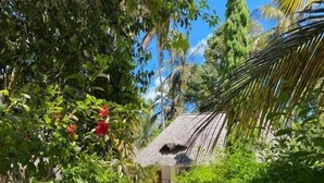 Un sendero conduce a una construcción con techo de paja rodeada de abundante vegetación y flores rojas.