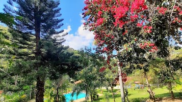 Vistas al jardín