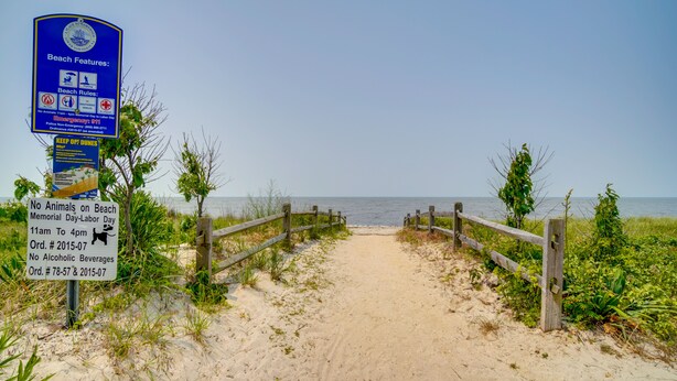 A sandy beach path leading to the ocean with wooden railings and signs indicating beach rules and no animals allowed.