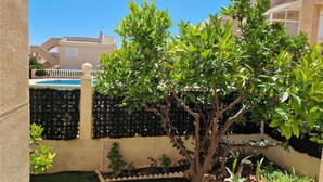 A courtyard with a swimming pool, a tree, and a fence. - Beautiful home in Torrevieja with swimming pool (Torrevieja)